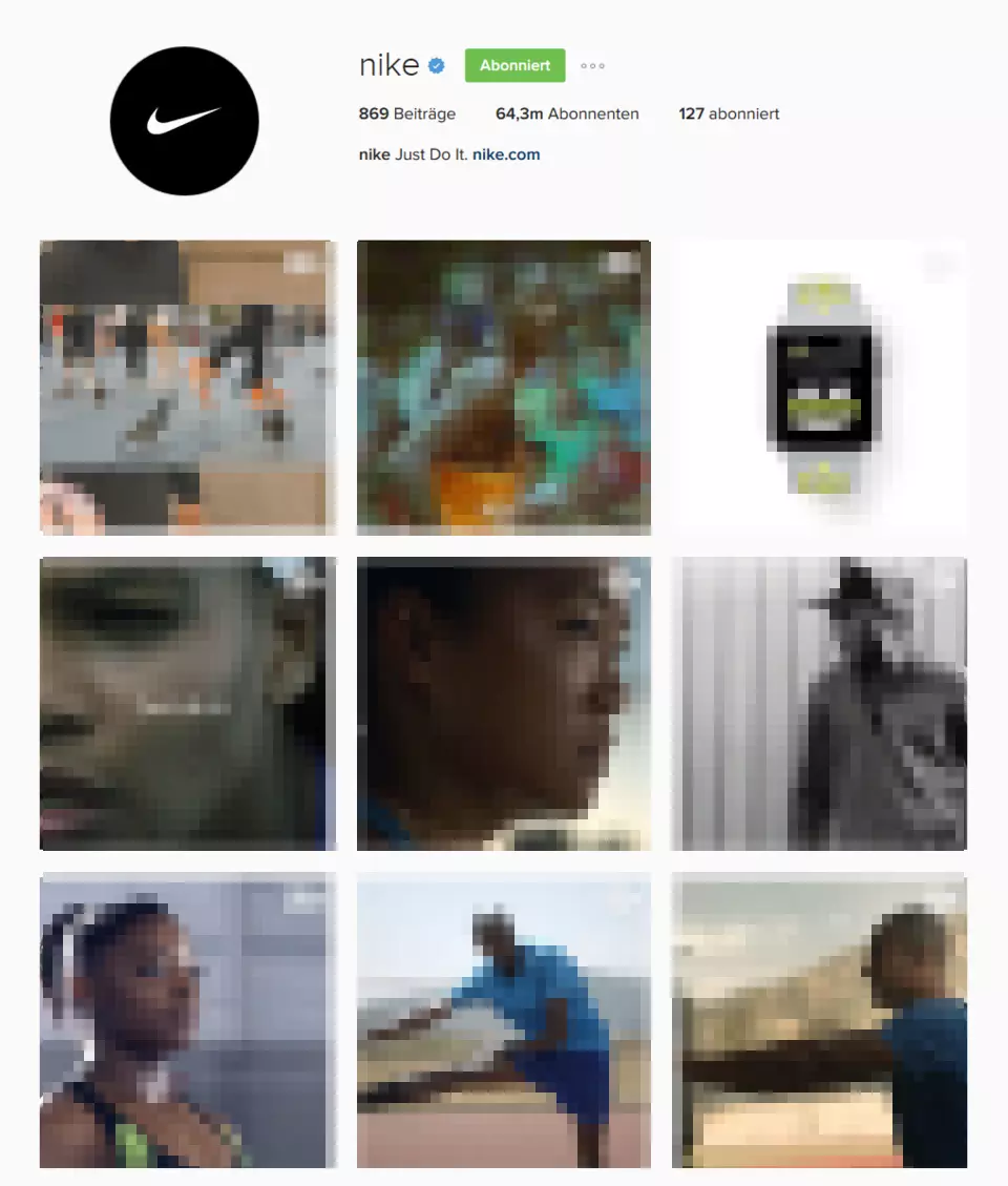 Bild: Unternehmensprofil von Nike in der Browseransicht